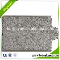 Fast Construction Material Prefabricated Concrete Wall Panel for Prefabricated House